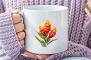 Celosia Flower Clipart, an Illustration by DreamCafeArt (Thumbnail 7 of 9)