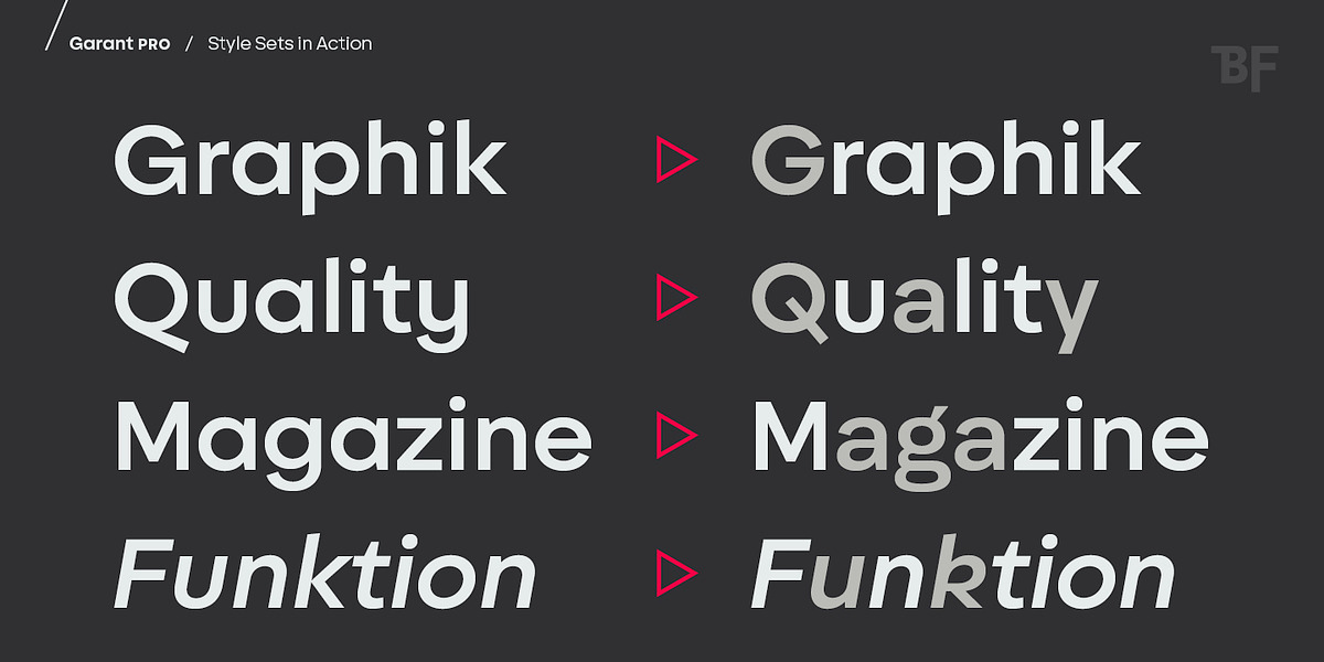 BF Garant Pro, a Sans Serif Font by BrassFonts (Photo 7 of 12)