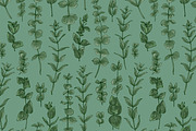 Protea flowers and eucalyptus sketch, an Illustration by irina.vaneeva (Thumbnail 12 of 12)