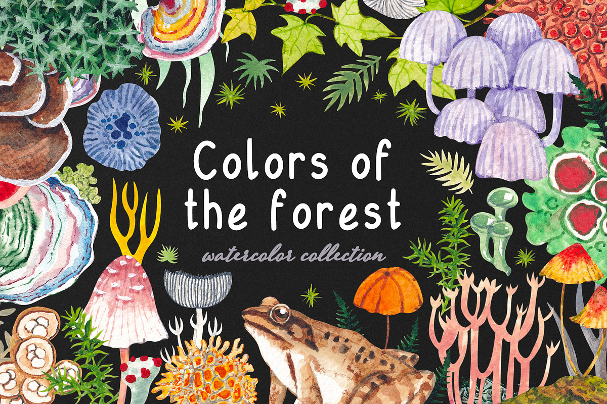 Colors of the forest, a Decorative Illustration by Kuzya's shop (Photo 1 of 6)