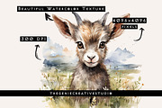 Watercolor PNG  Baby Goat Clipart, an Animal Illustration by Geniecreativestudio (Thumbnail 3 of 9)