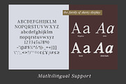 Slanty Display - Serif Typeface, a Serif Font by Mytype Studio (Thumbnail 5 of 7)
