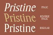 CS Percy – Serif Font, a Serif Font by Craft Supply Co. (Thumbnail 2 of 8)