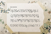 Rustaliya | Classic Elegant Script, a Script Font by gracetype_studio (Thumbnail 9 of 11)