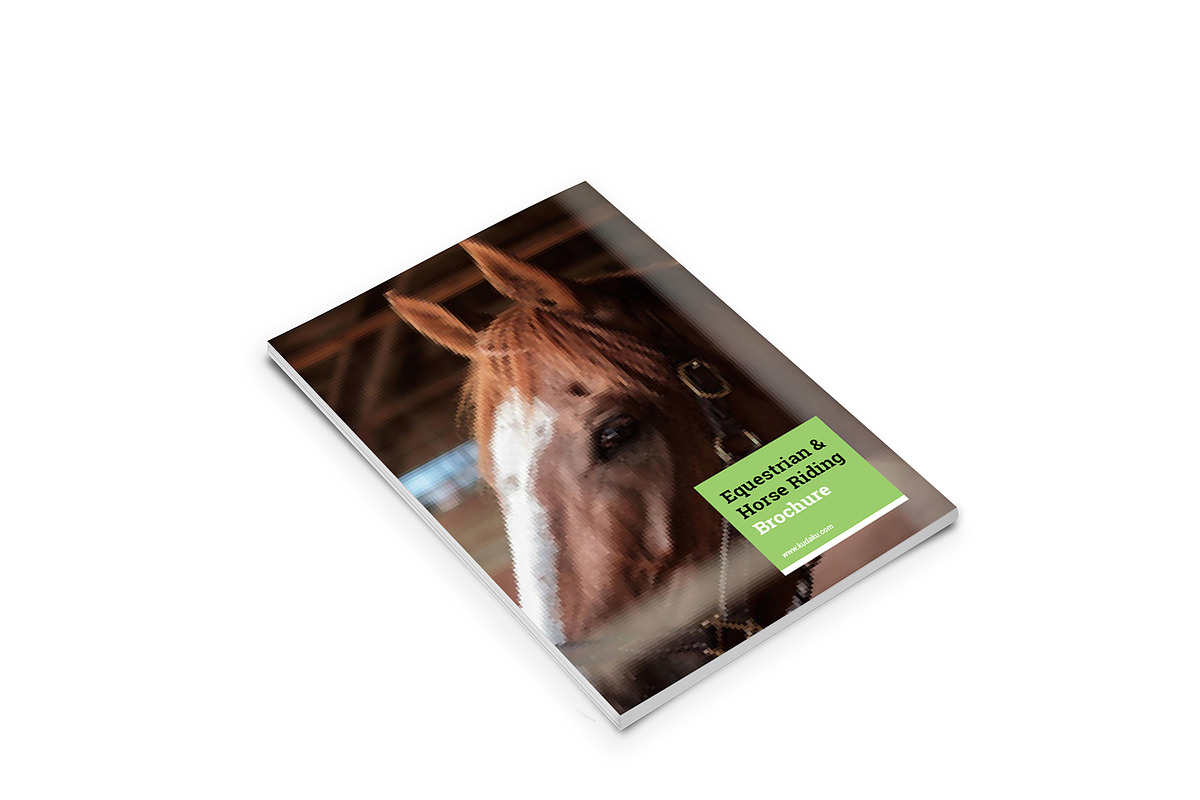 Horse Riding A4 Brochure, a Brochure Template by Incools Stokie (Photo 13 of 13)