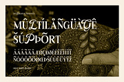LesBageur | Calligraphic Serif Font, a Serif Font by Hole Hope Design (Thumbnail 6 of 10)