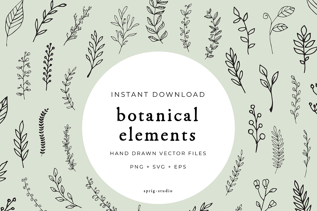Hand Drawn Botanical Elements, an Illustration by Sprig Studio