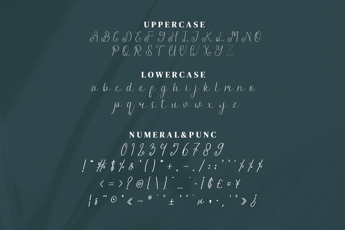 Offsite Script Fonts, a Script Font by mahstudios (Photo 12 of 15)