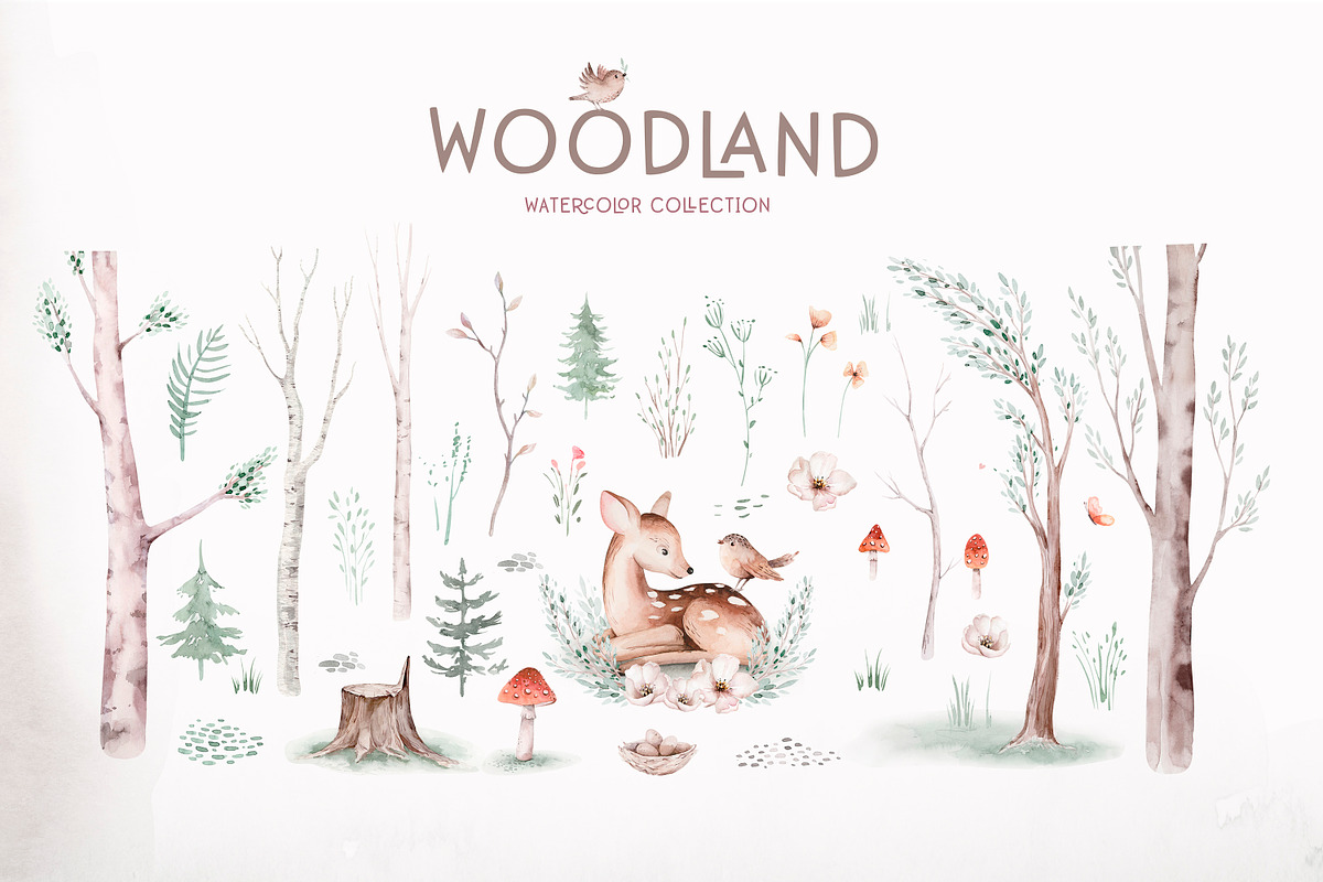 Watercolor woodland collection, an Animal Illustration by Peace ART (Photo 5 of 14)