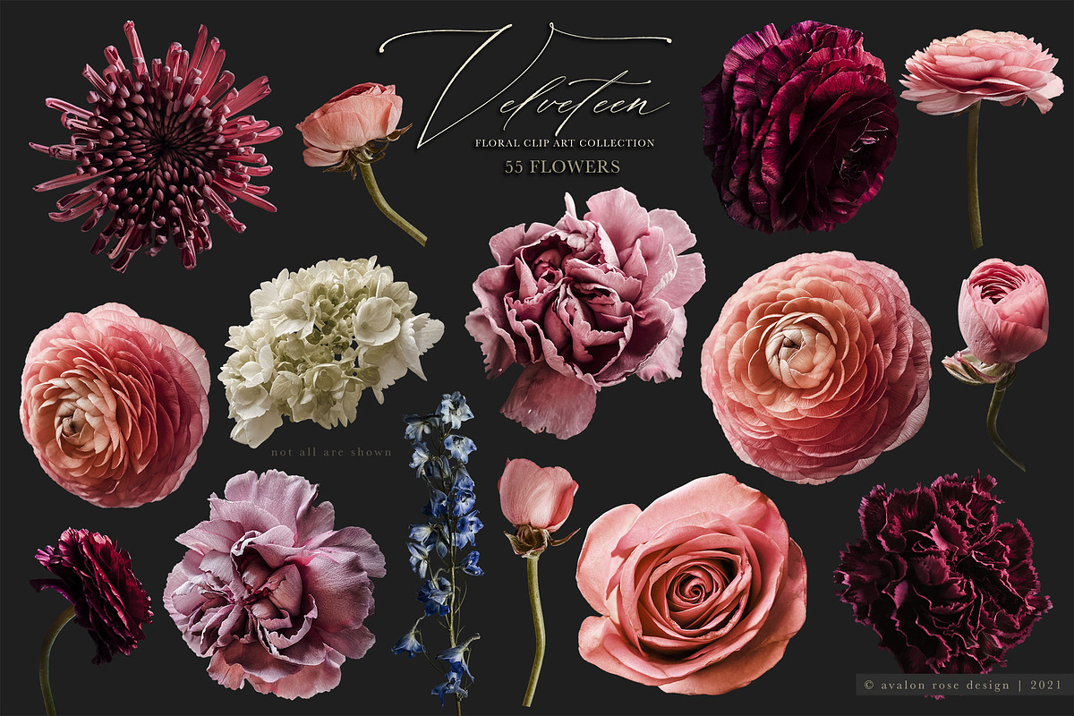 Velveteen Floral Clip Art Collection, an Object Graphic by Eclectic Anthology (Photo 16 of 19)