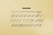 Palmintte | Handwritten Script, a Script Font by gracetype_studio (Thumbnail 12 of 12)