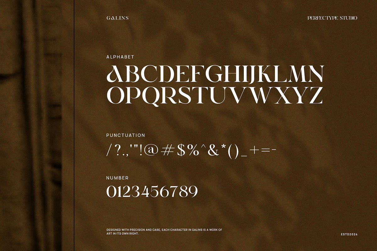 Galins Modern Serif Font, a Serif Font by Perfectype (Photo 8 of 8)