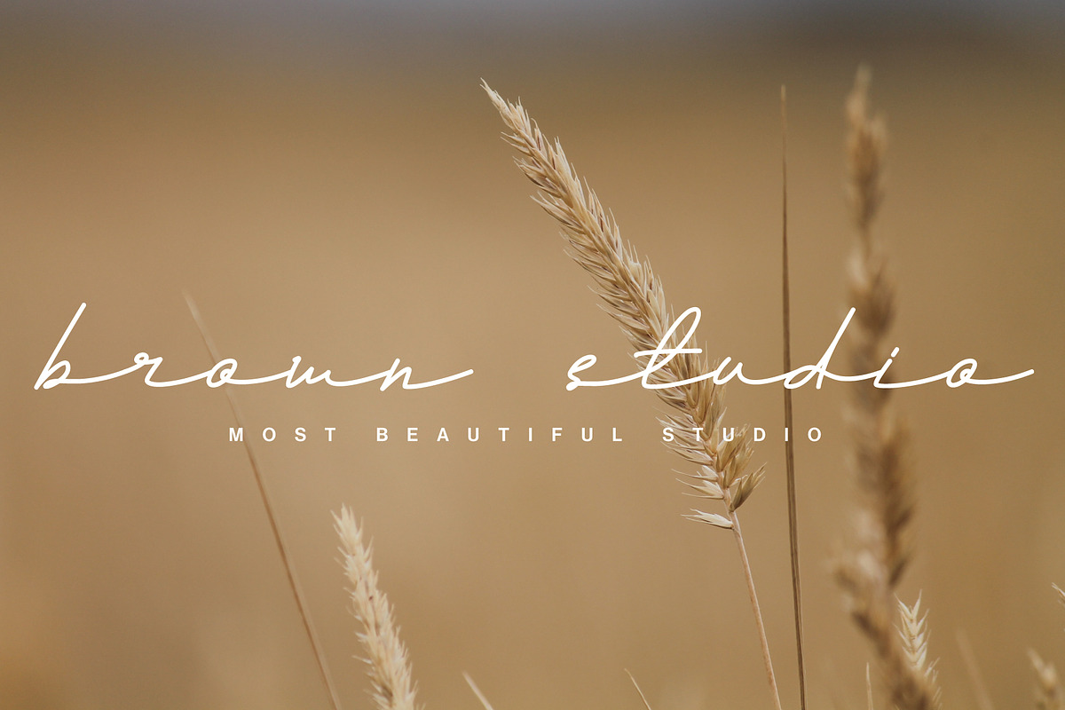Andalusia a Beautiful Script Font, a Script Font by Lettertype Studio (Photo 13 of 19)
