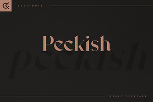 Peckish - Bold Serif Typeface, a Serif Font by Only Fonts