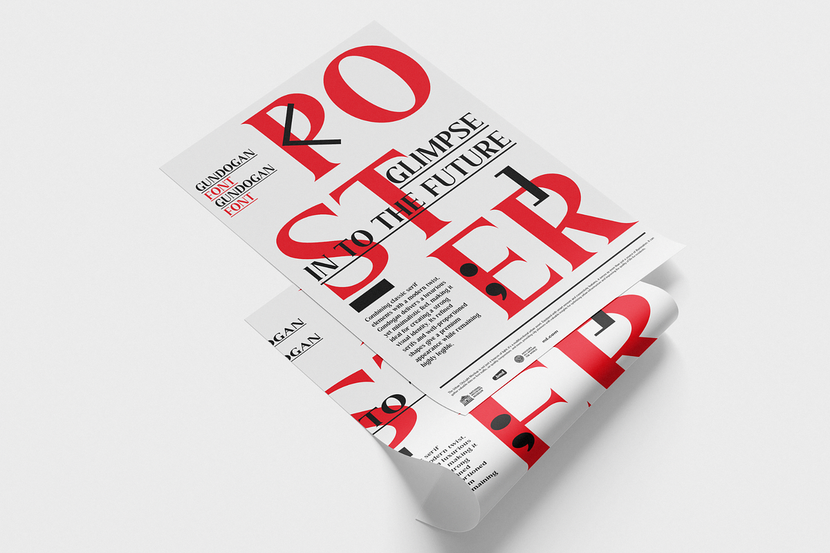 Gundogan | Serif Font, a Font by BearyType Studio (Photo 9 of 10)