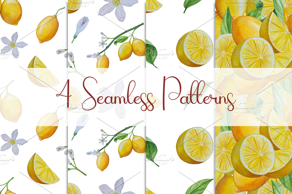 Botanical Style Lemon Illustrations, a Food Illustration by Milla_Zelenyuk_art (Photo 3 of 3)