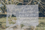 My Lost Trinket | Whimsy Curly Font, a Handwritten Font by ana & yvy (Thumbnail 3 of 13)