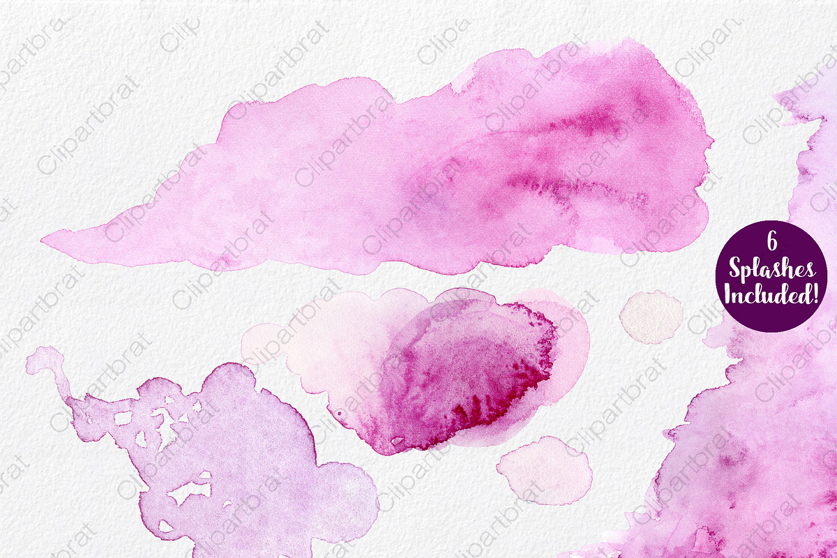 Exotic Florals & Feathers, an Illustration by ClipartBrat Graphics (Photo 4 of 6)