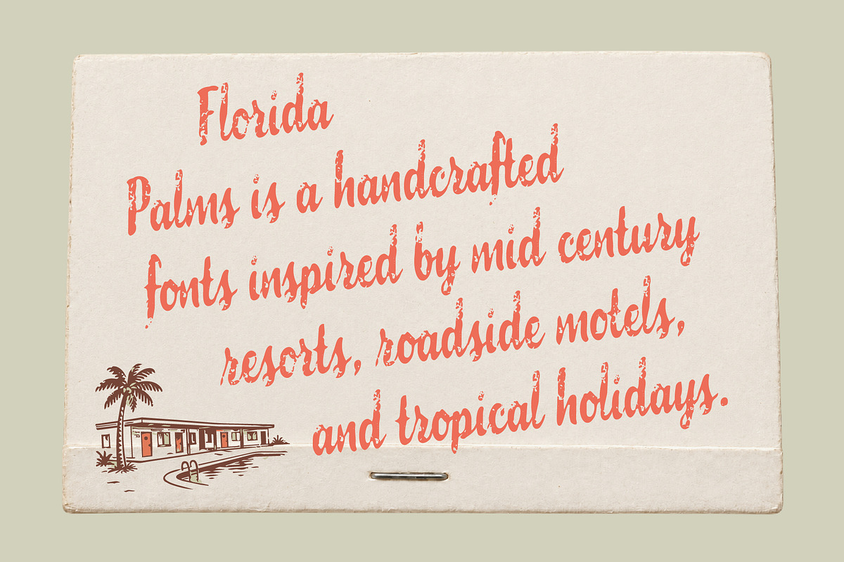 Florida Palms – Tropical Font Duo, a Script Font by Edignwn Type (Photo 11 of 12)