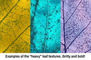 Leaf Texture Pack - Earthy Goodness!, a Texture Graphic by Matt Borchert (Thumbnail 5 of 6)