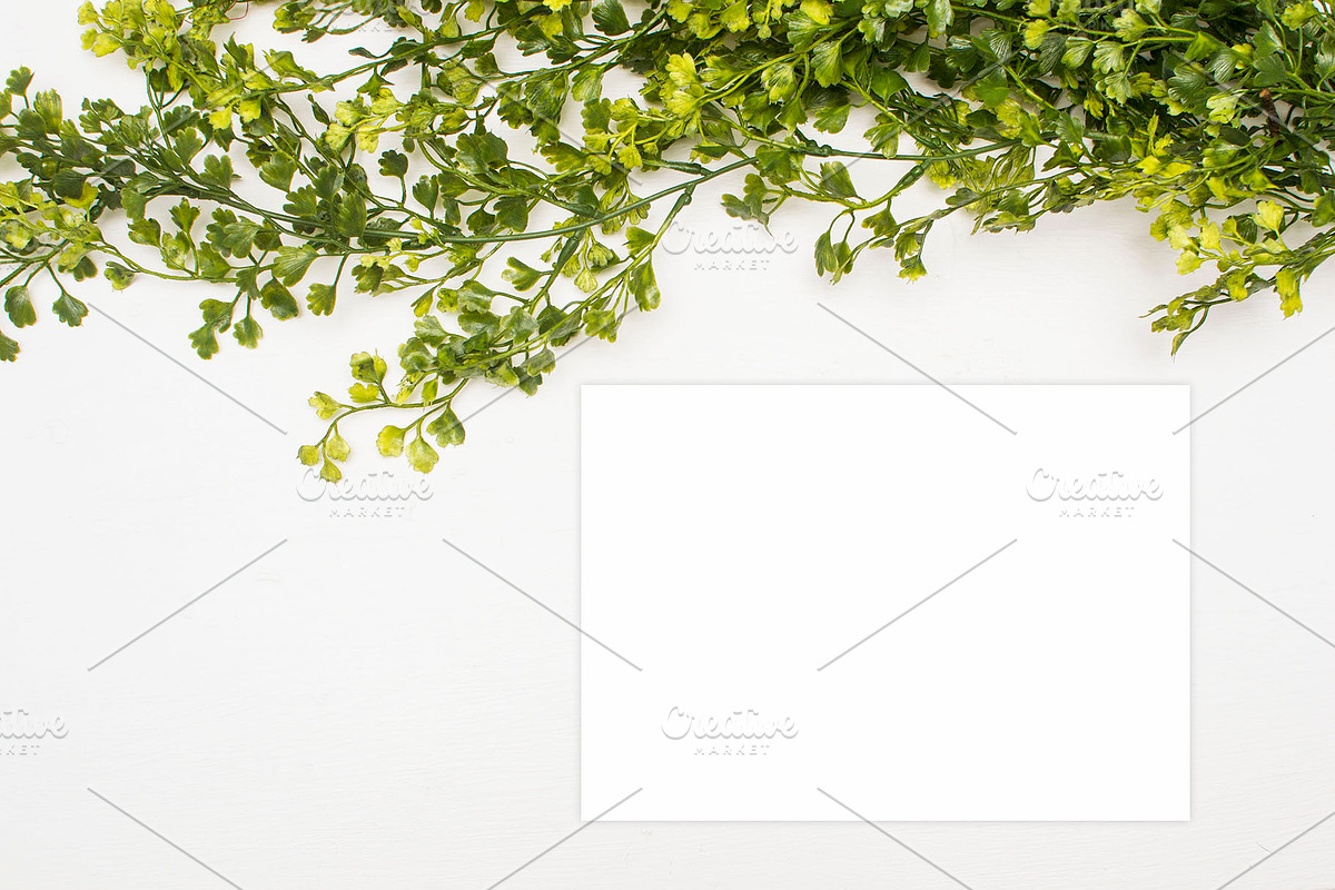 Modern Mockup, Clean Mockups, a Background Photo by BlueBooks (Photo 10 of 14)