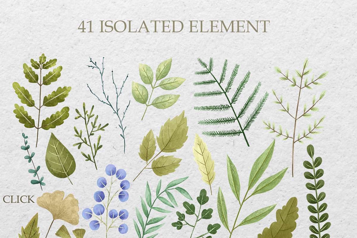 Hand-Painted Herbs & Spices: Botanic, a Decorative Illustration by the_myro (Photo 2 of 5)