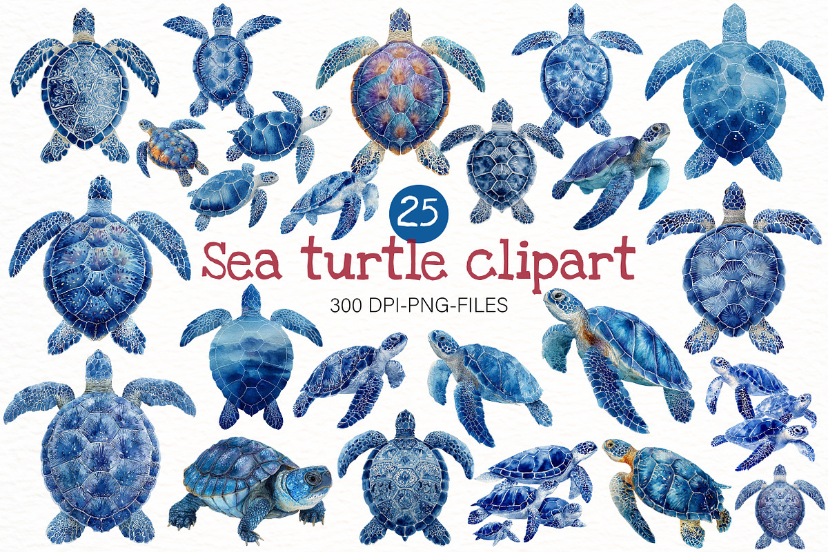 watercolor sea turtle clipart, an Illustration by Designworld (Photo 1 of 8)