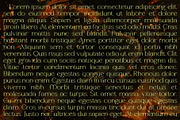 Naure - Serif Display, a Serif Font by takoliko (Thumbnail 6 of 11)