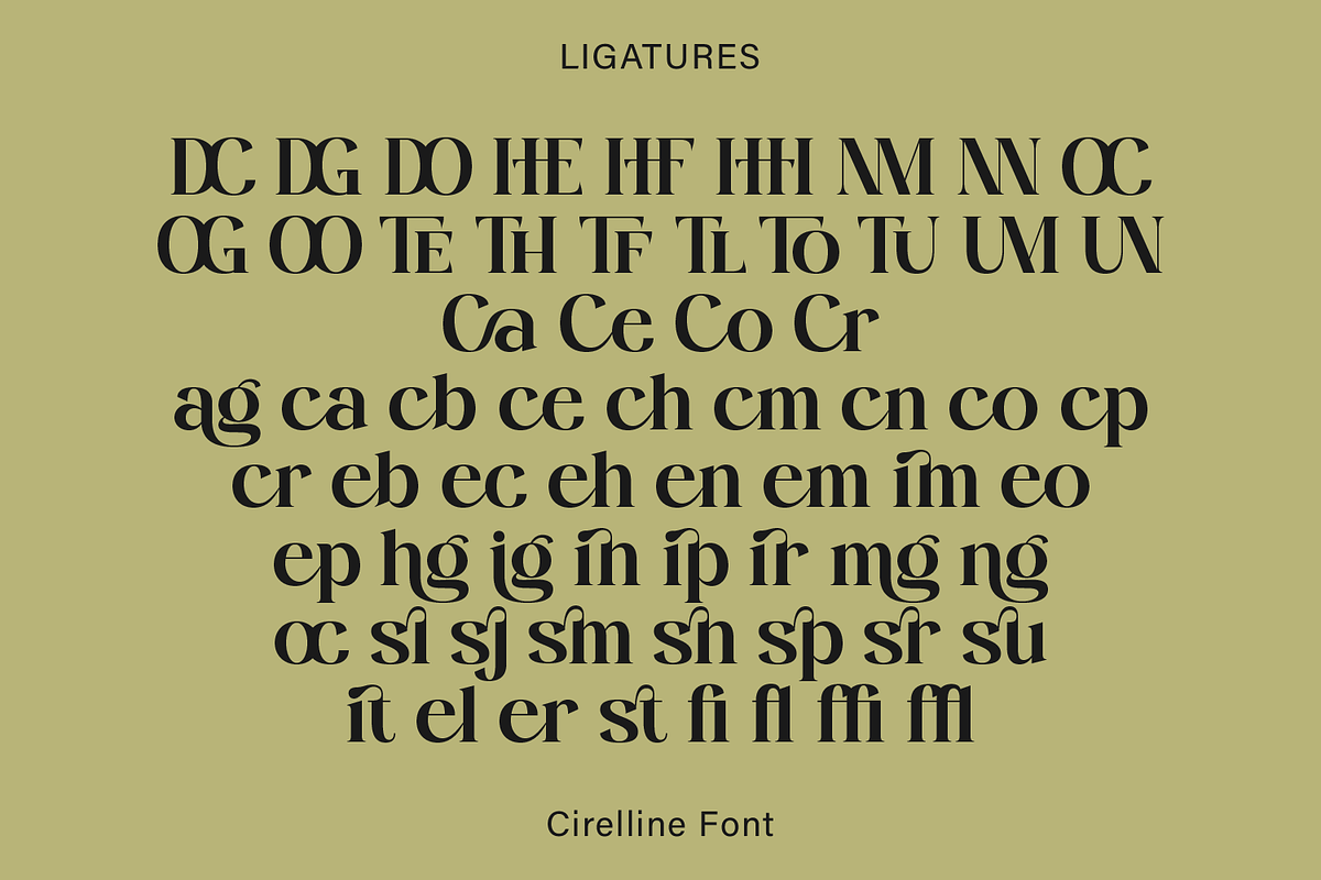 Cirelline, a Serif Font by Zaloma Studio (Photo 18 of 19)