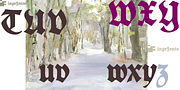 Koch Schrift, a Blackletter Font by ingoFonts (Thumbnail 7 of 10)