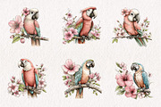 Whimsical Spring Macaws Clipart, an Illustration by CreationArt (Thumbnail 5 of 7)