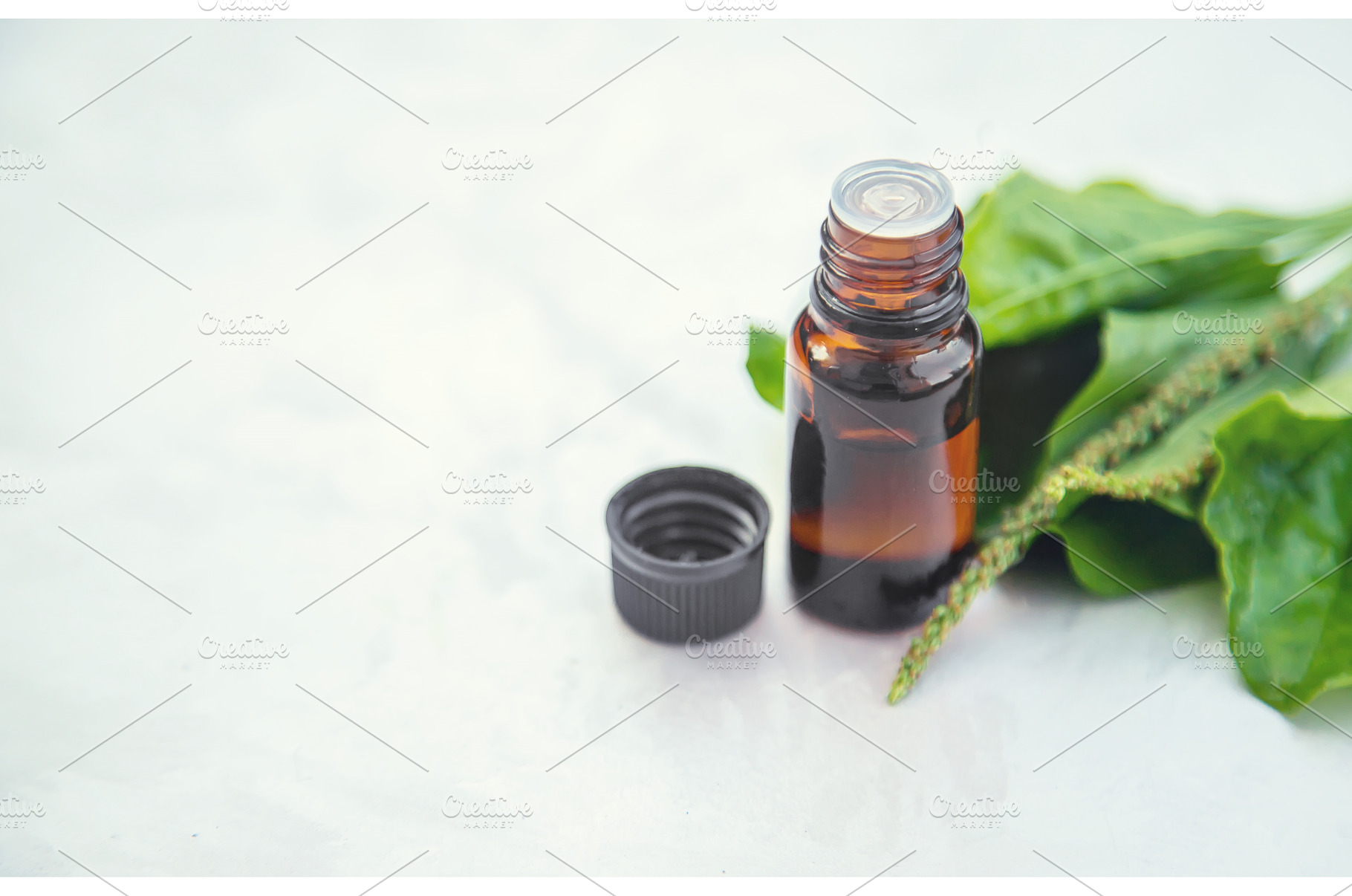 Plantain extract in a small bottle, a Nature Photo by yanadjana