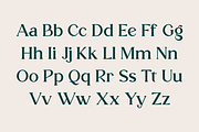 Miracle Display, a Serif Font by RockboyStd (Thumbnail 8 of 12)