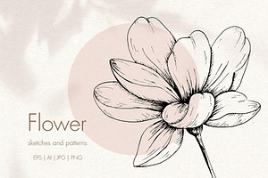 Flower. Line art sketch and patterns