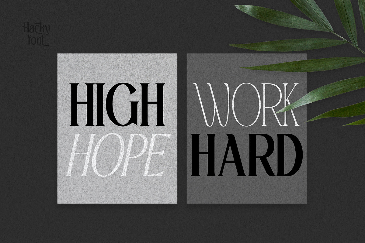 Hacky - Luxury Serif Family, a Serif Font by madeDeduk (Photo 9 of 12)