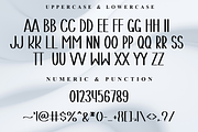 Sunday Bright, a Script Font by InermediaSTUDIO (Thumbnail 5 of 8)