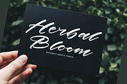 History Kindes Modern Calligraphy, a Script Font by stylishtype.co (Thumbnail 13 of 20)