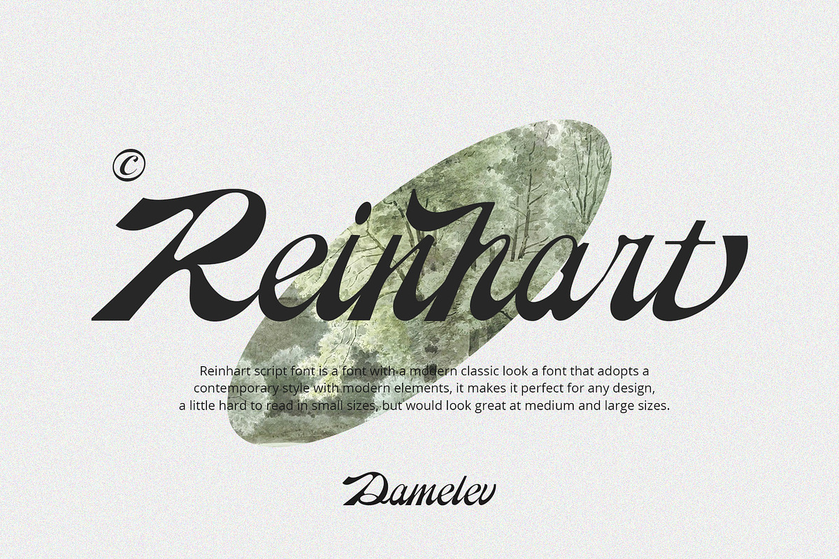 Reinhart Script, a Script Font by Damelev (Photo 1 of 9)