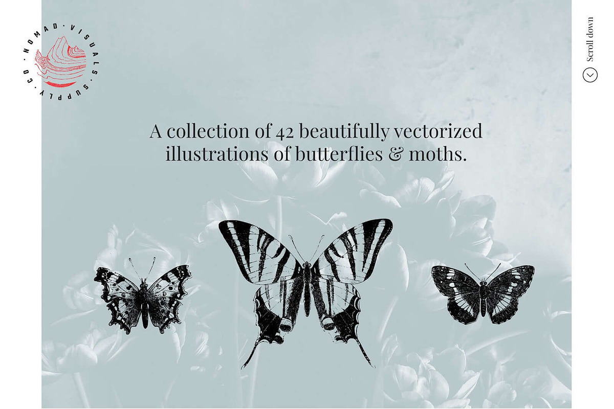 Vintage Bundle - 6600+ Illustrations, an Animal Illustration by Nomad Visuals (Photo 43 of 45)