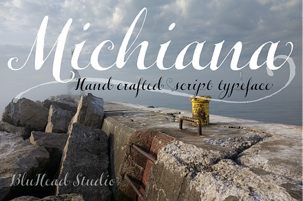 Michiana Pro