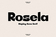 Rosela Display Sans serif Font, a Sans Serif Font by Storytype Studio (Thumbnail 1 of 15)