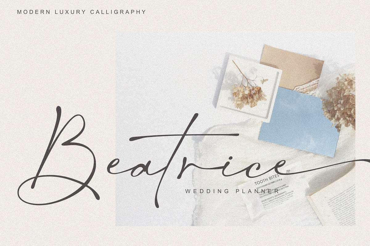 Salty Feathers - Modern Script, a Script Font by Sans & Sons (Photo 6 of 10)