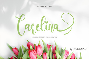 Carelina - Modern Calligraphy