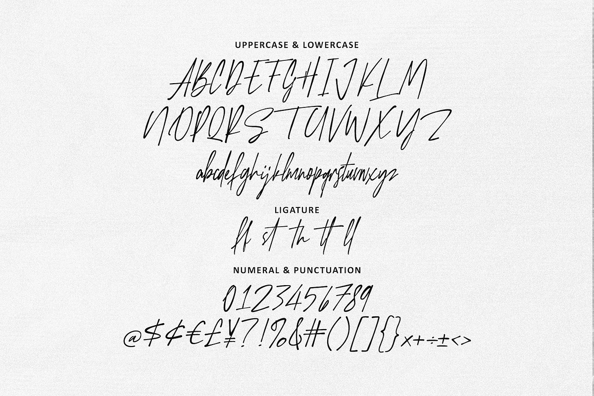 Battosain Signature Modern Script, a Script Font by Maulana Creative (Photo 6 of 7)