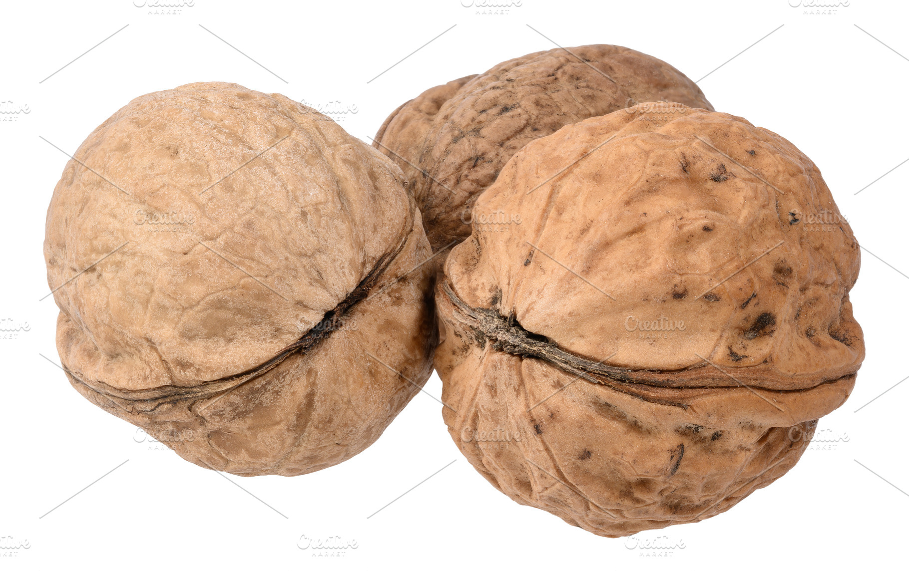 Whole walnut in its shell with pronounced texture and grooves on, a Food & Drink Photo by ndanko