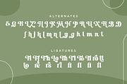 Maison Paris - Modern Stylish Font, a Serif Font by Shakira Studio (Thumbnail 15 of 15)