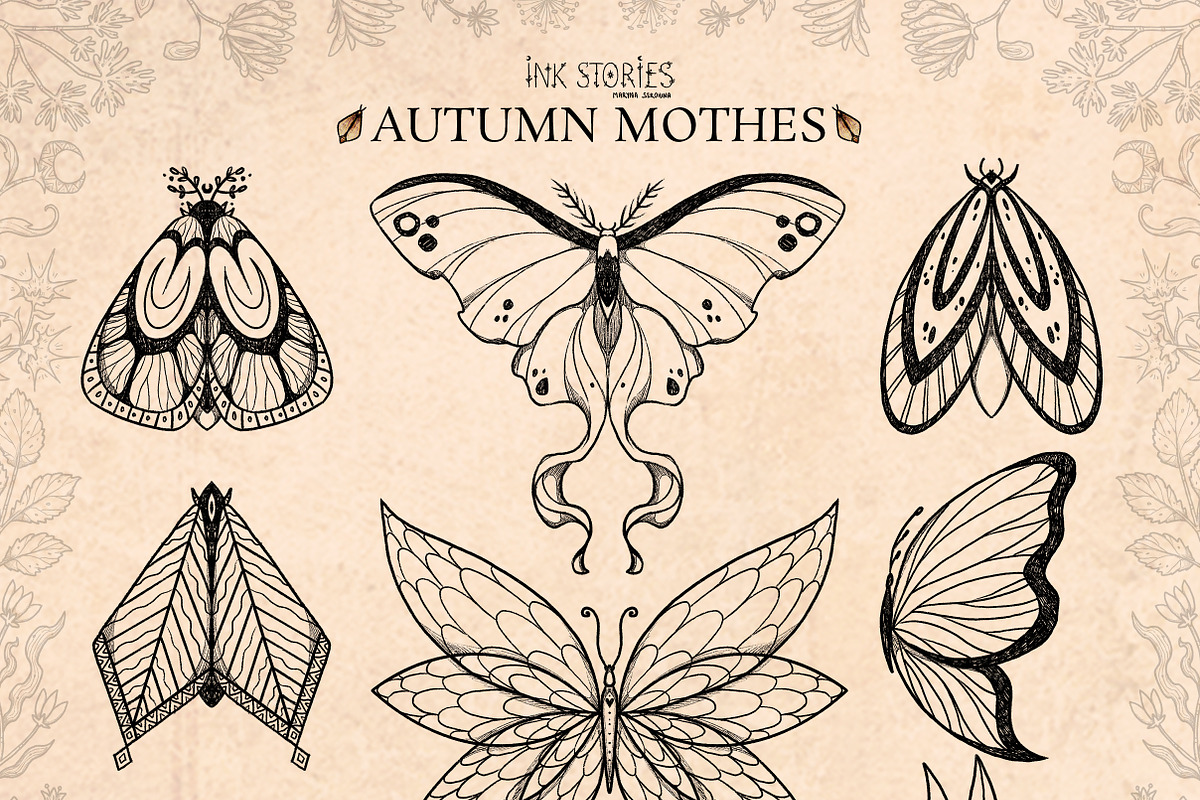 Autumn Moths & Dried Botanicals, an Animal Illustration by Ink Stories (Photo 3 of 18)