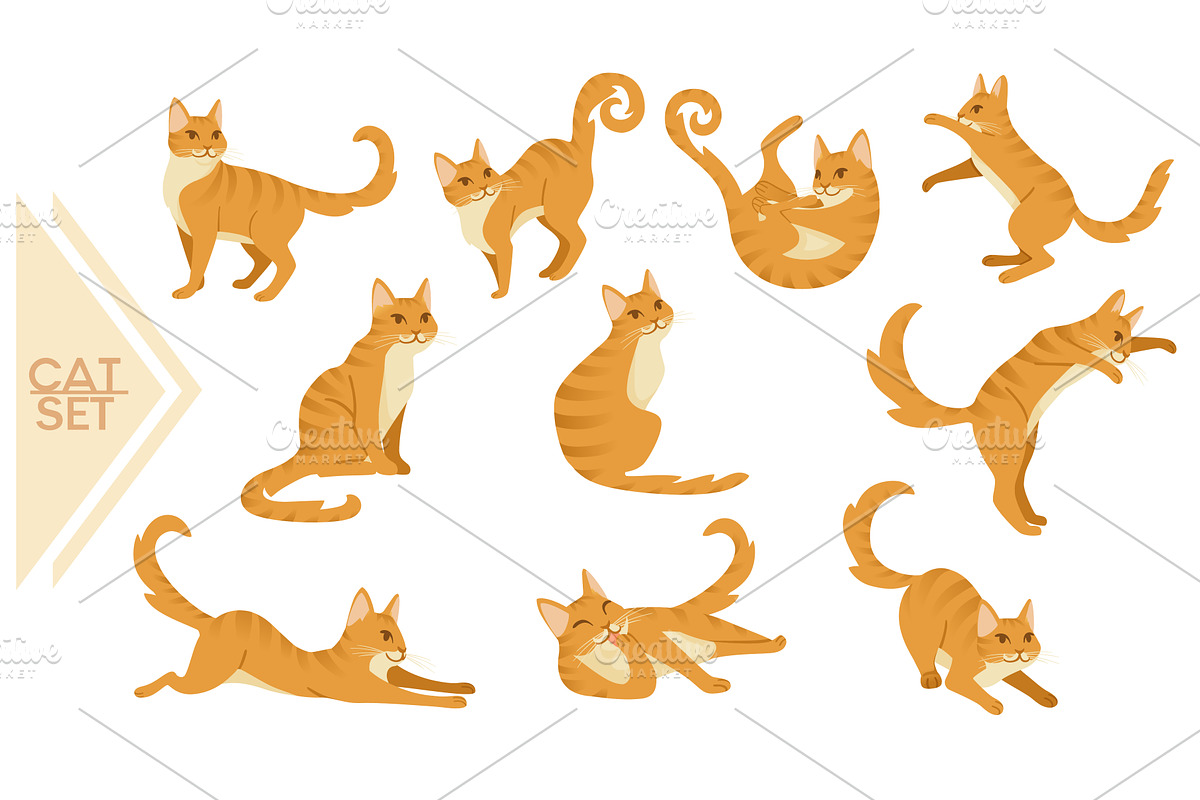 Collection of Ginger cat cartoon, an Animal Illustration by Alfmaler