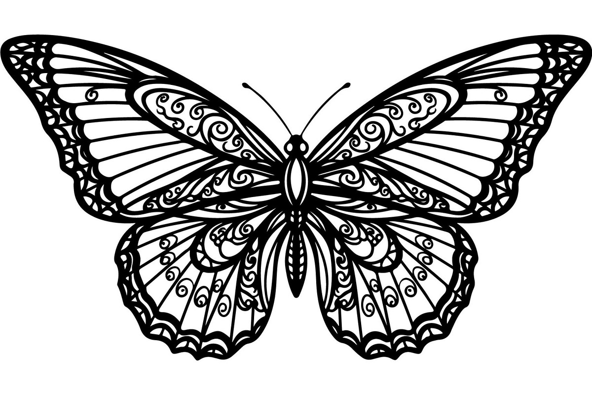 Beautiful Butterfly Silhouette, an Object Graphic by Designer_Momina (Photo 16 of 20)