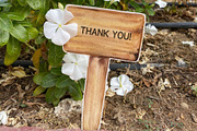 Garden Tools Watercolor Set, an Object Illustration by WatercolorElena (Thumbnail 11 of 11)